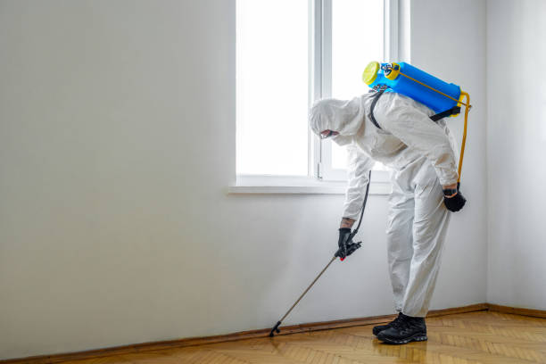 Best Pest Removal Services  in Indian Head Park, IL