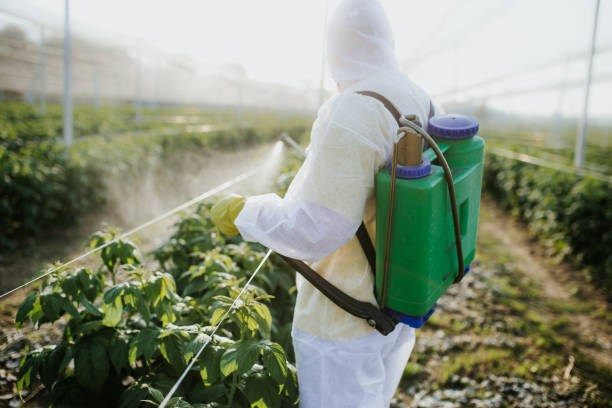 Professional Pest Control in Indian Head Park, IL